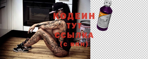 2c-b Няндома