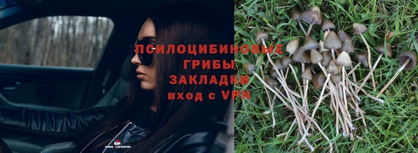 2c-b Няндома